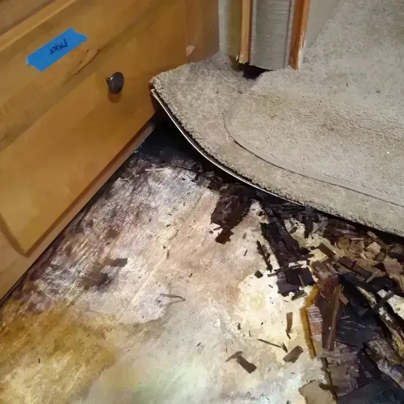 Best Wood Floor Water Damage Service in Crawfordville, GA